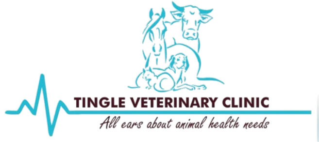 Tingle Veterinary Clinic